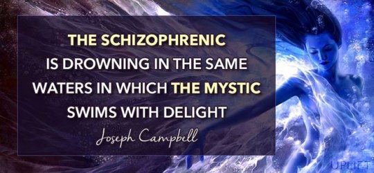 shamanic-view-mental-health_schizophrenia